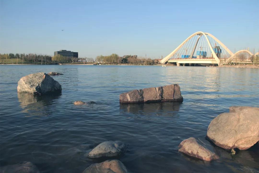 1593314990731380.jpg 千畝生態(tài)水系實(shí)景圖