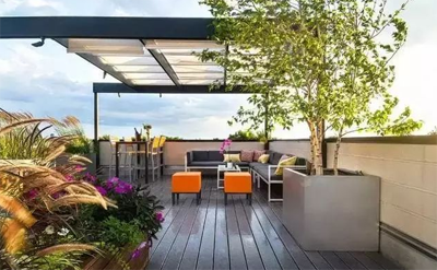 金輝·中央云著示意圖