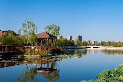 1669341117637311.jpg 1_副本_副本.jpg