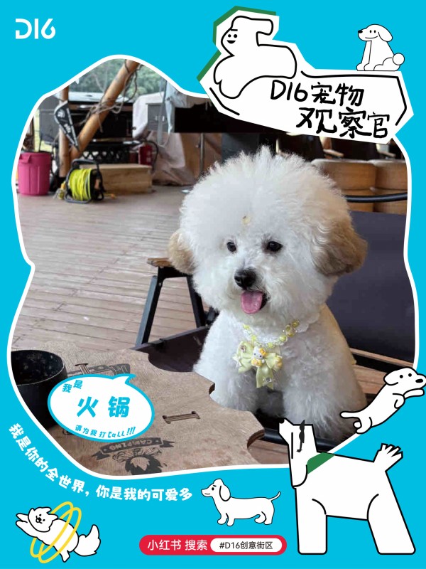 1733378015420984.jpg 圖片 21.JPG